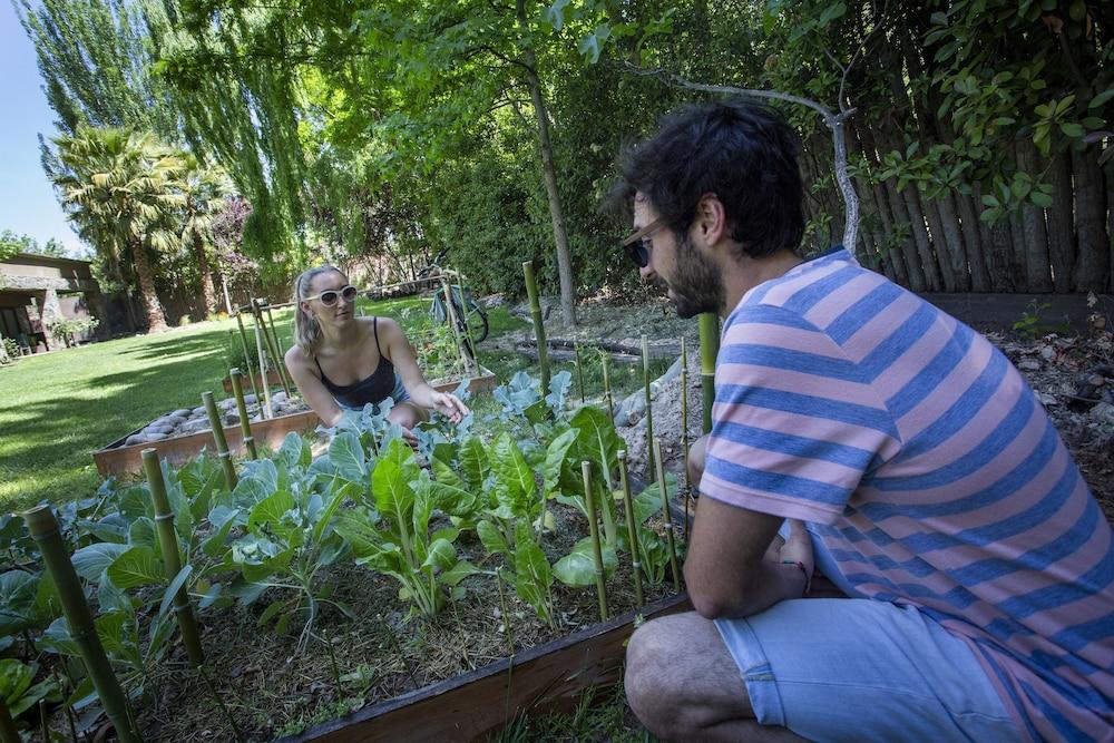 Casa La Galeana - Eco Boutique Hotel Chacras de Coria Luaran gambar