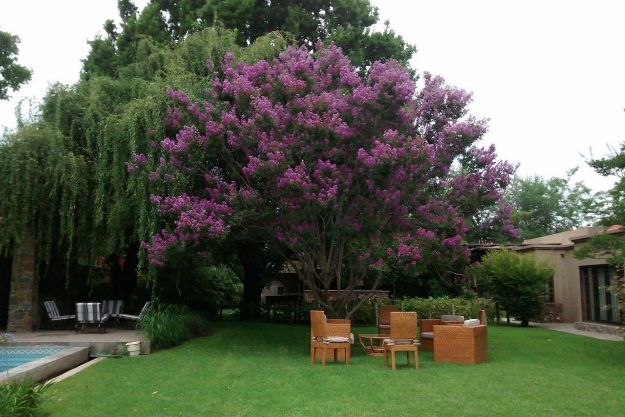 Casa La Galeana - Eco Boutique Hotel Chacras de Coria Luaran gambar